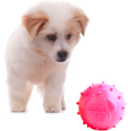 Puppy Chew - giocattolo per animali